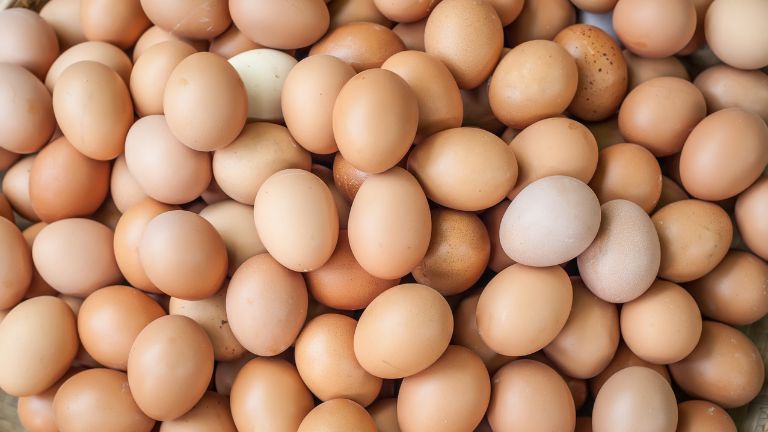 Eggs: A Nutritional Powerhouse for Optimal Health