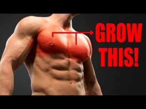 Importance of Upper Chest Workouts